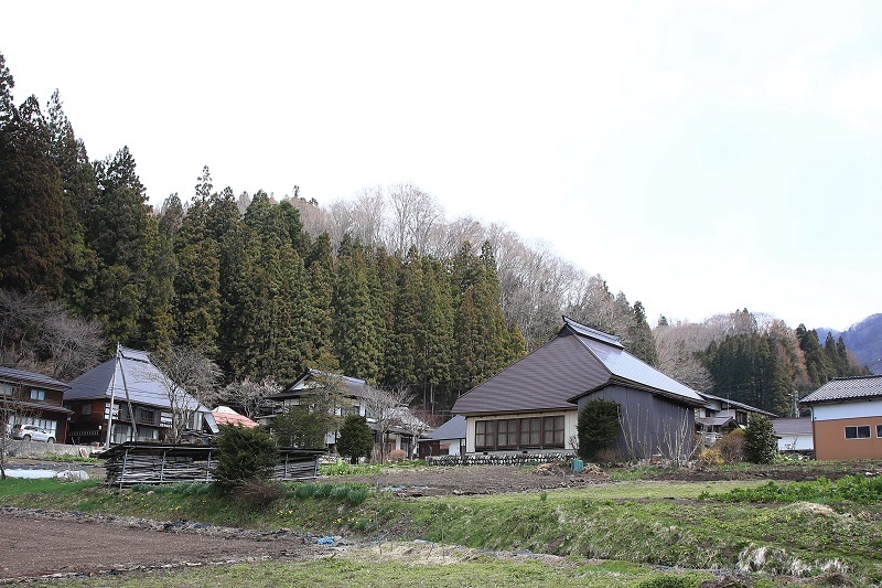 一本桜はまだ咲かず・・・(4519)_e0349324_06363170.jpg