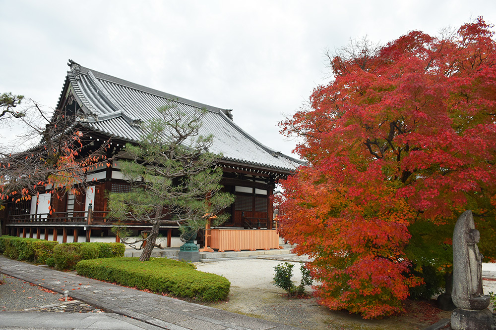 織田信長が眠る京都・阿弥陀寺。_e0158128_16004765.jpg
