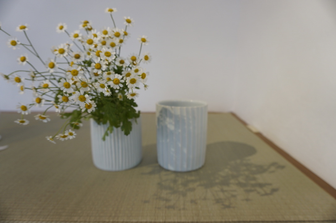 砂田政美 磁器のうつわ展 3日目です_b0132442_17500032.jpeg