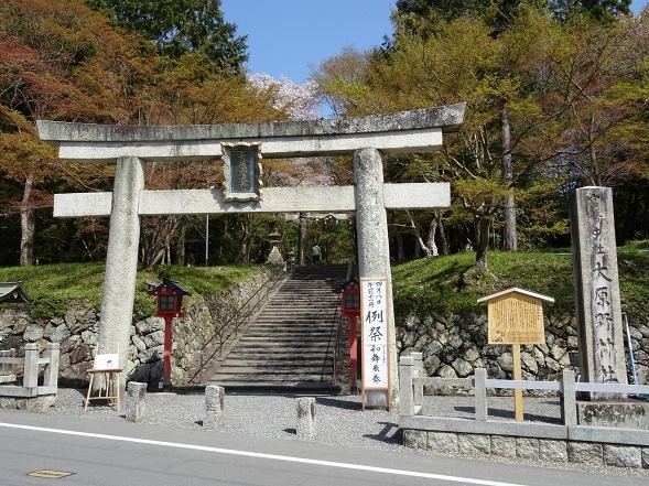 大原野神社・幻の桜「千眼桜」_b0299042_19321177.jpg