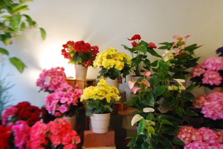商品入荷情報_a0201358_16061632.jpg