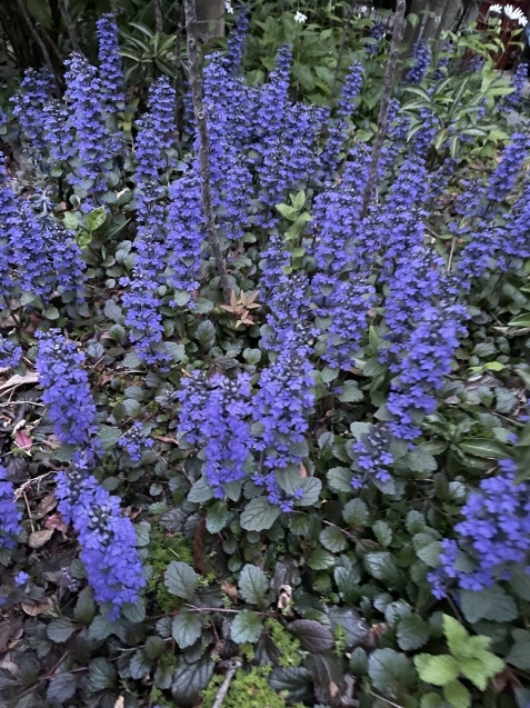 ふ〜ぅ。_a0394574_22593828.jpeg