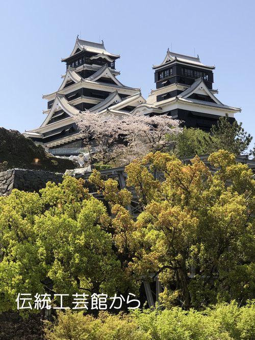 熊本城　桜満開_f0059498_16462734.jpg