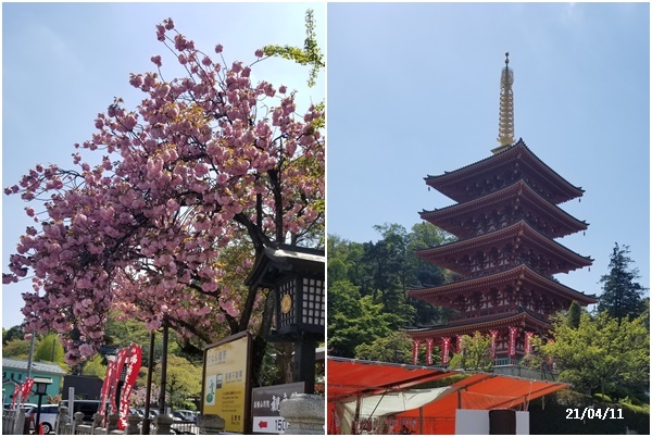 娘達と買い物・畑・庭の花_c0051105_13510715.jpg