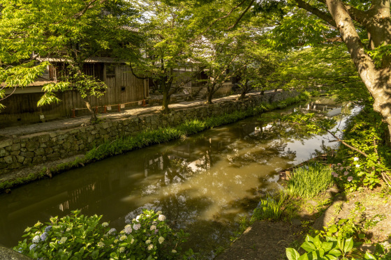 滋賀県近江八幡市「八幡堀」_a0096313_18122879.jpg