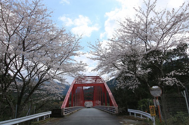 大台町さくら巡り(その6)(撮影:3月27日)_e0321325_09543297.jpg