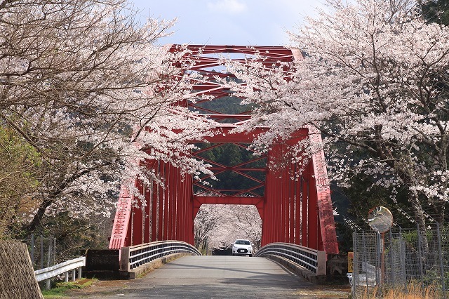 大台町さくら巡り(その6)(撮影:3月27日)_e0321325_09561451.jpg