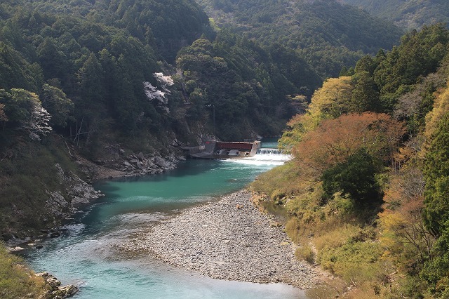 大台町さくら巡り(その6)(撮影:3月27日)_e0321325_09582193.jpg