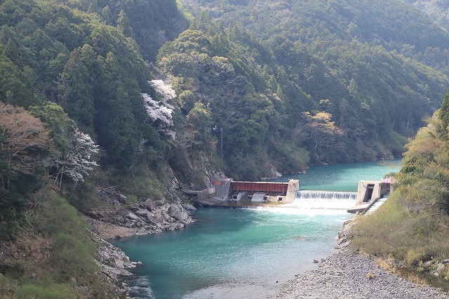 大台町さくら巡り(その6)(撮影:3月27日)_e0321325_09594360.jpg