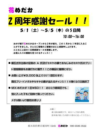 お知らせ_e0097534_16350572.jpg