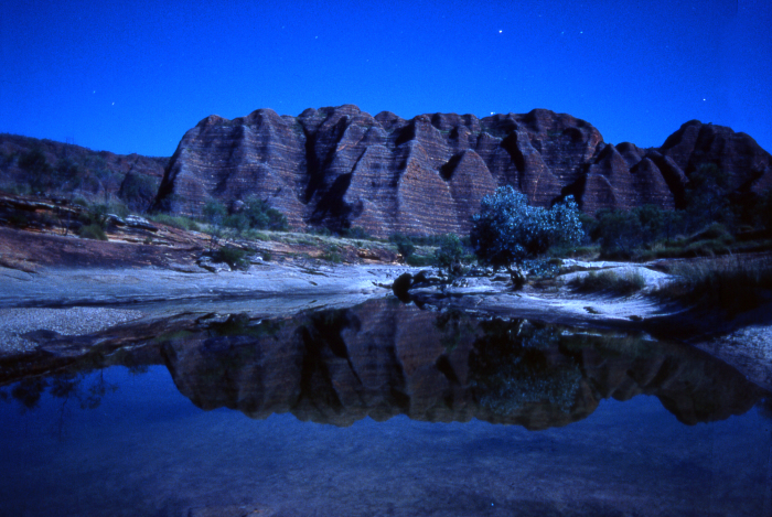 On The  Earth_f0050534_10220270.jpg
