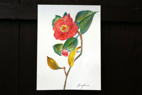 塗り絵 ~ 椿 ~_e0222340_14574259.jpg
