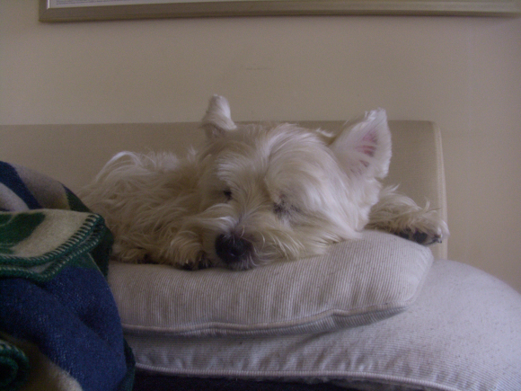 Sleeping春。_b0107163_15013583.jpg