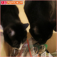 ヒナへのお見舞い_a0389088_09251665.jpg