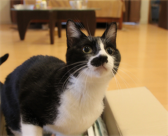 ヒナへのお見舞い_a0389088_09251693.jpg
