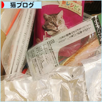 ヒナへのお見舞い_a0389088_09251768.jpg