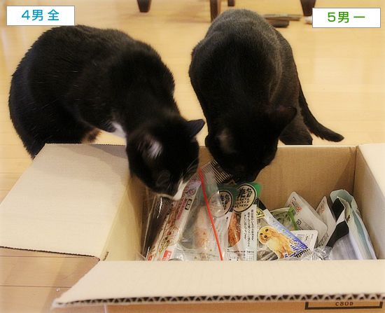 ヒナへのお見舞い_a0389088_09252265.jpg