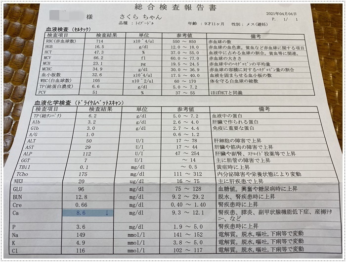 さくら、歯石除去施術で抜歯４本。。。備忘録です_b0175688_23545043.jpg