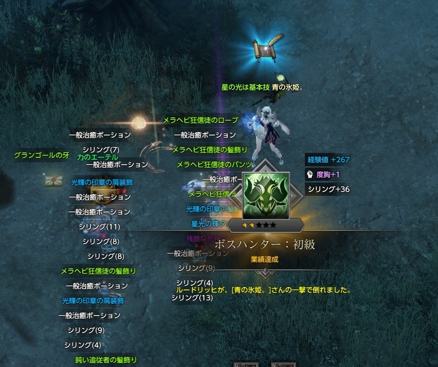 ロストアーク日記 アルテミス大陸 ボスモンスター ルートヴィッヒ討伐ドロップ品 Mmo Lost Ark いつまでたっても初心者目線の思い出残しゆるゆる冒険記録