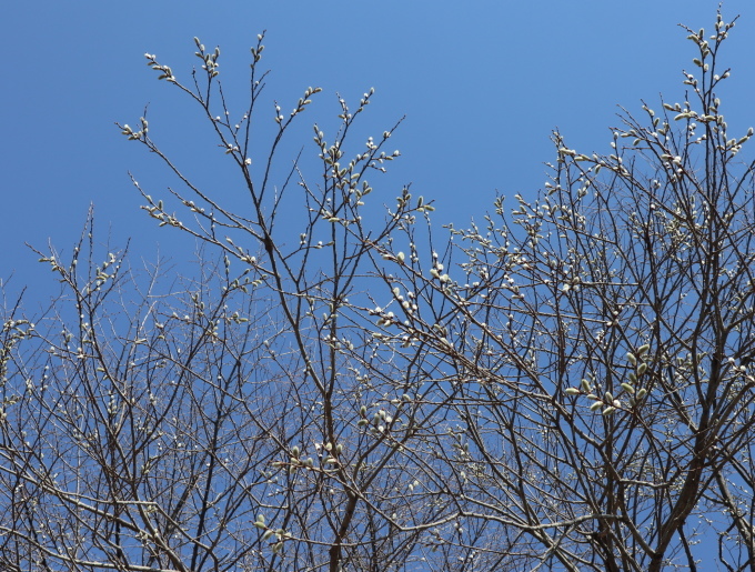 長野・群馬の旅･････その３_b0331802_22175867.jpg