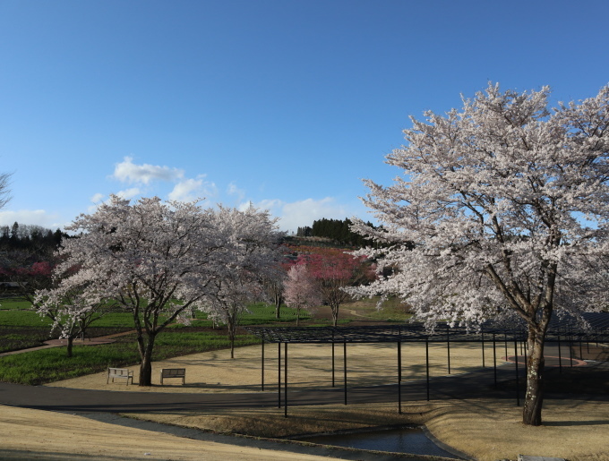 長野・群馬の旅･････その３_b0331802_22194778.jpg