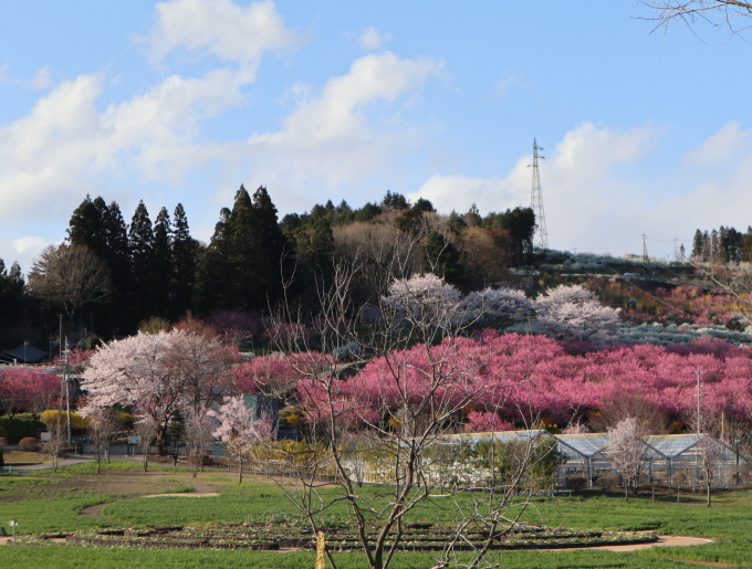長野・群馬の旅･････その３_b0331802_22202639.jpg