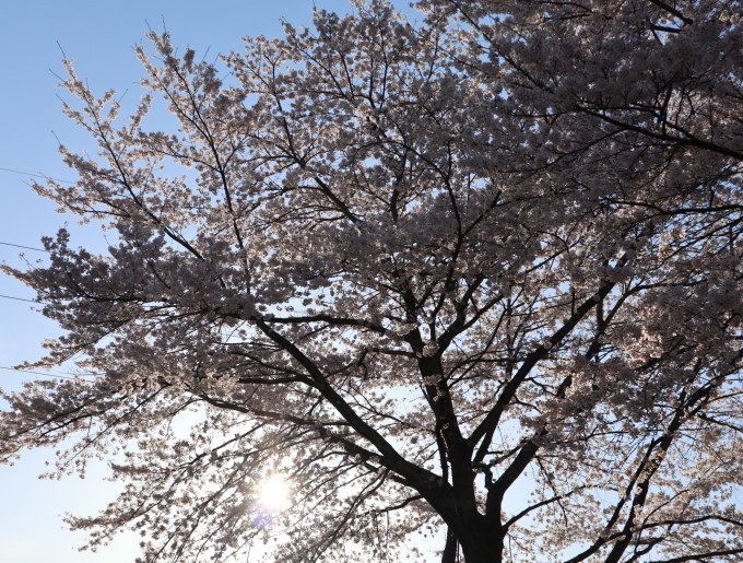 長野・群馬の旅･････その３_b0331802_22293192.jpg