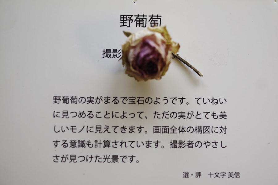 思い出のフォトギャラリー写真展 私の選出された作品 記録 2_b0151409_09064532.jpg