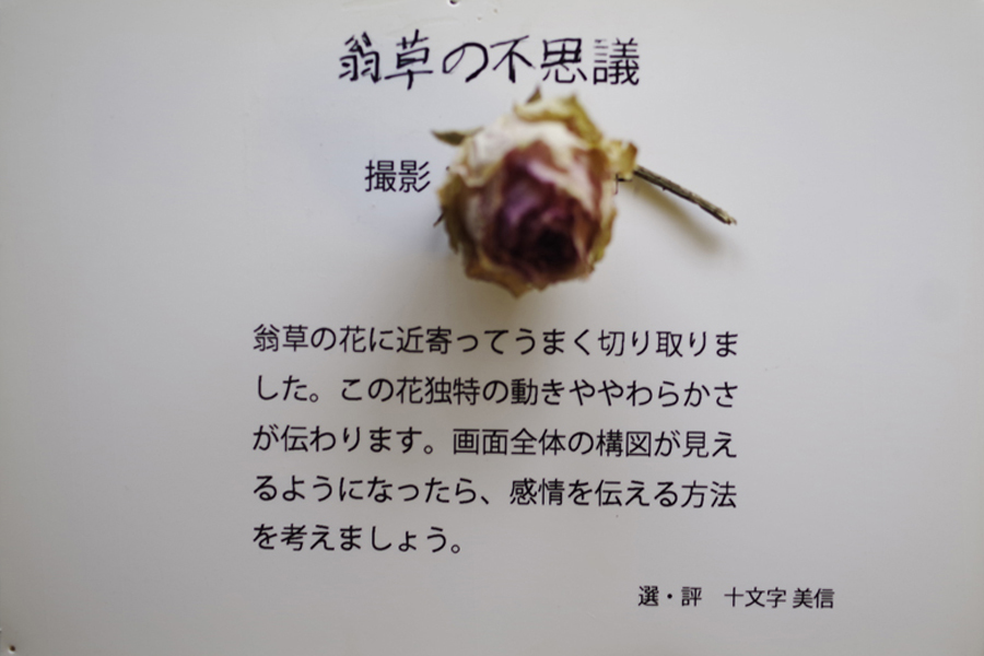 思い出のフォトギャラリー写真展 私の選出された作品 記録 2_b0151409_09065070.jpg
