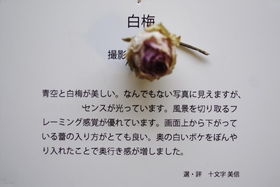 思い出のフォトギャラリー写真展 私の選出された作品 記録 2_b0151409_09070279.jpg