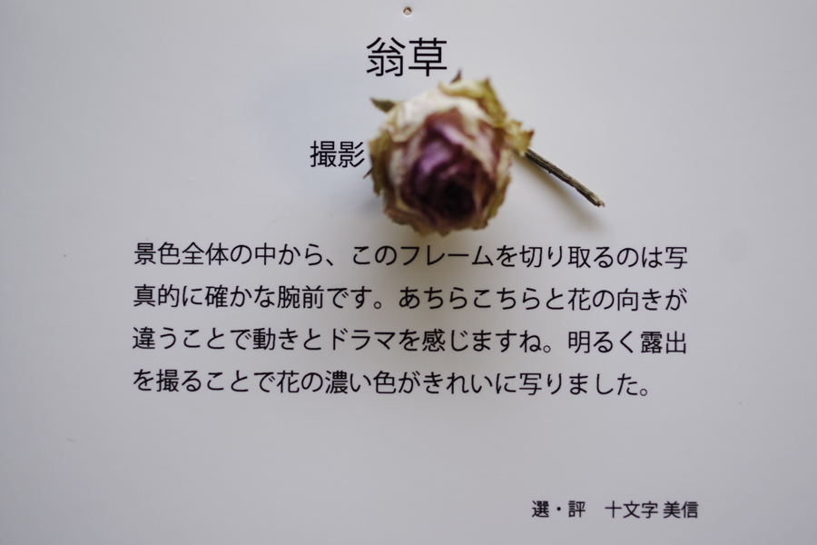 思い出のフォトギャラリー写真展 私の選出された作品 記録 3_b0151409_09072109.jpg