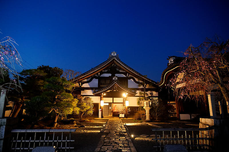 2021桜巡り 夜桜ライトアップ@妙顕寺・其の一_f0032011_21210520.jpg