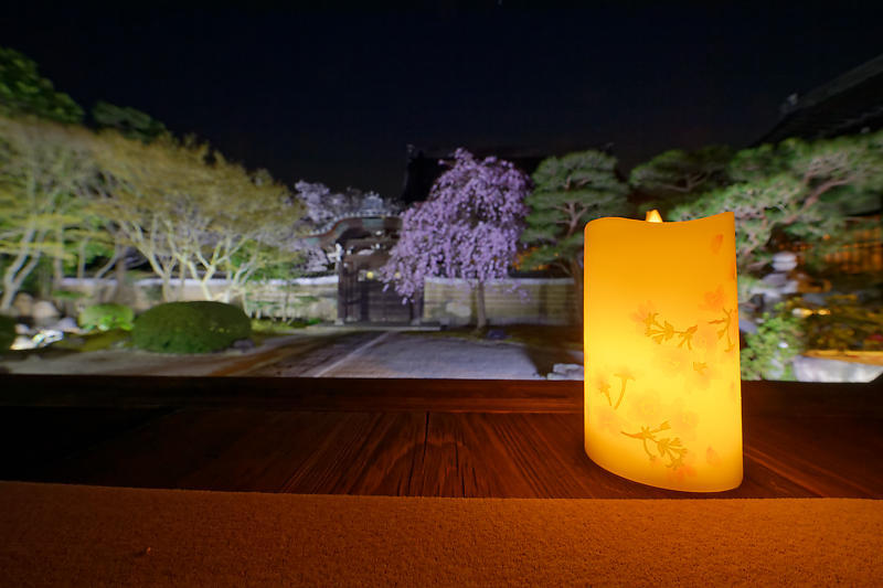 2021桜巡り 夜桜ライトアップ@妙顕寺・其の一_f0032011_21210620.jpg