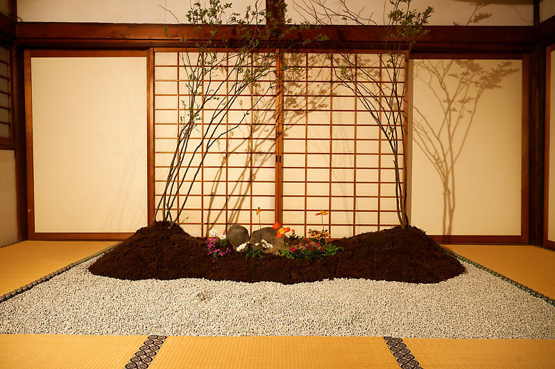 2021桜巡り 夜桜ライトアップ@妙顕寺・其の一_f0032011_21222978.jpg