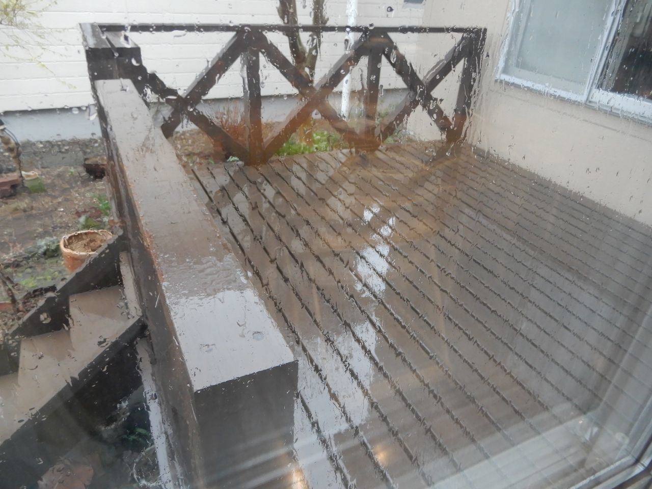 昼からずっと雨でも「世界で一番美しい鳥図鑑」で癒やされました_c0025115_00032805.jpg