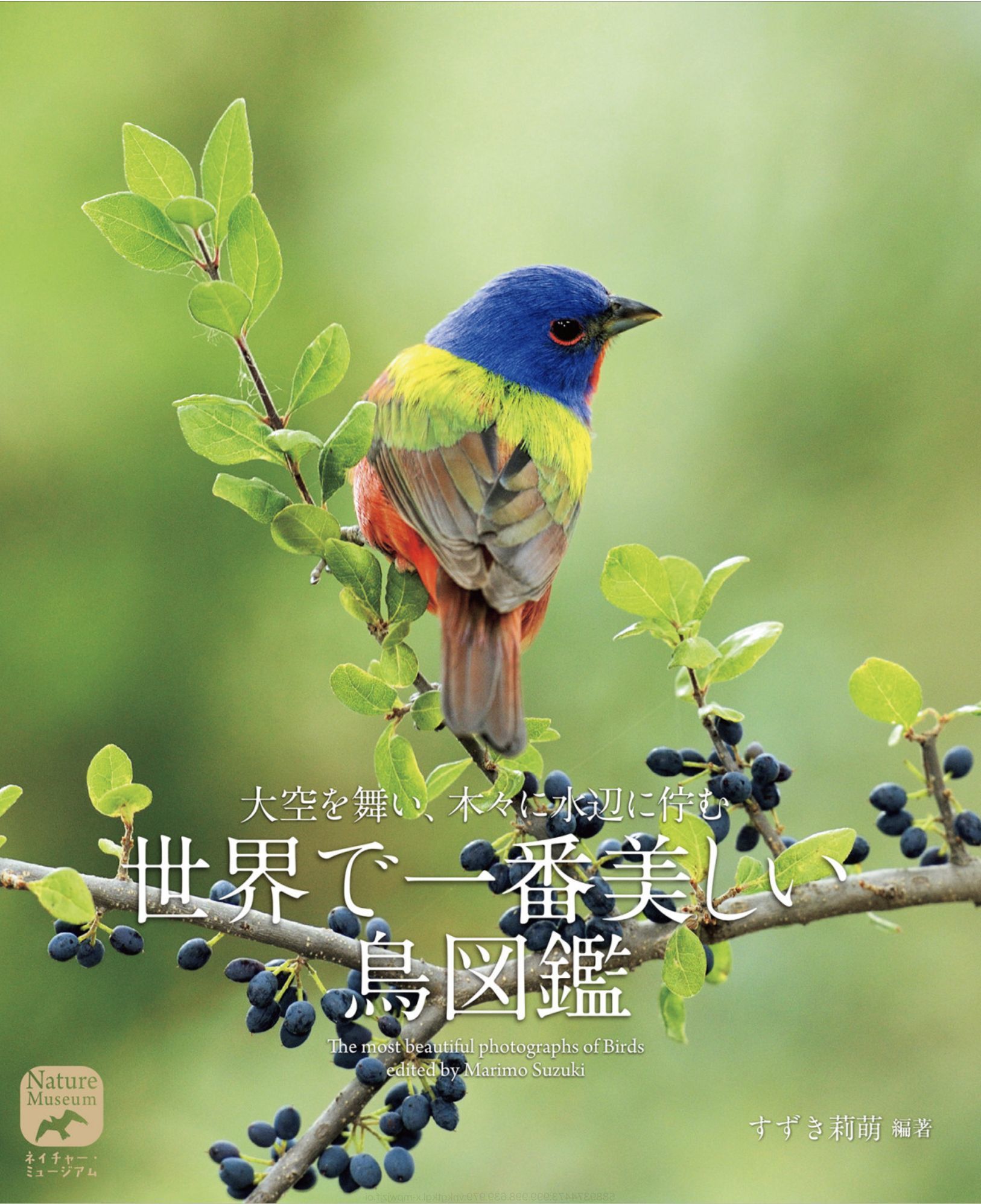 昼からずっと雨でも「世界で一番美しい鳥図鑑」で癒やされました_c0025115_00072118.jpg