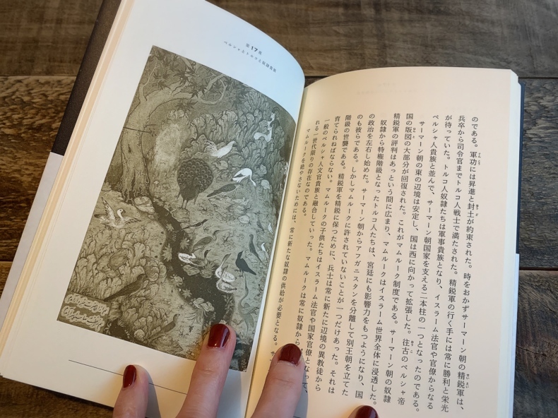 銀河の片隅で科学夜話 レビュー Treatment Akkun