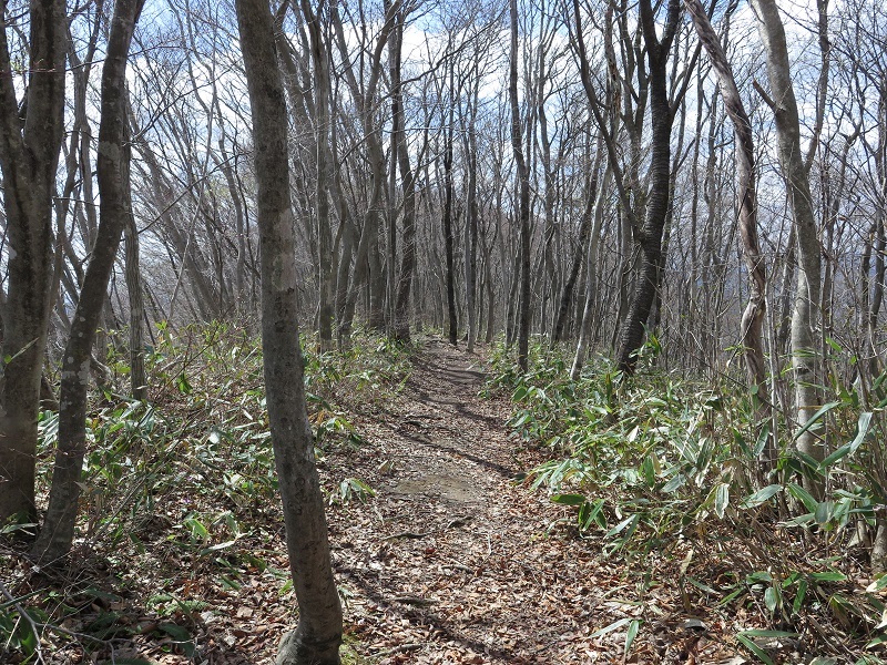 御駒山から花山湖畔の桜を見ようと登ったが・・・_e0349817_20080753.jpg