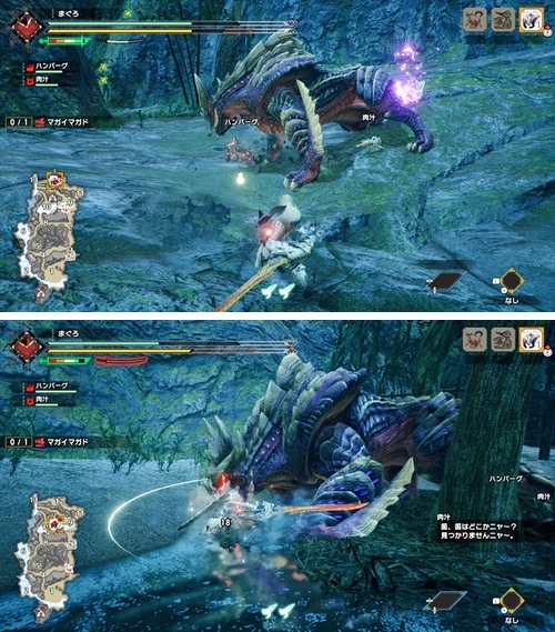 モンスターハンターライズ Mhr 雑記 死闘 マガイマガド そしてついにリオレウス登場 ゴチログ Gotthi Log