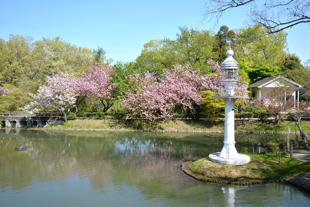 小那沙美島燈台と八重桜_e0373930_19360576.jpg
