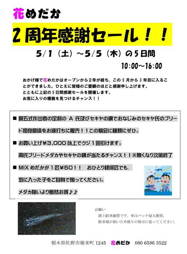 お知らせ と 嬉しい頂き物_e0097534_16540267.jpg