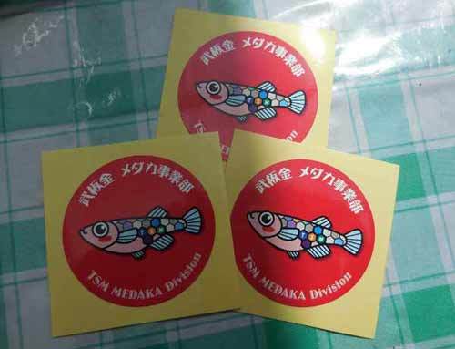 お知らせ と 嬉しい頂き物_e0097534_17081117.jpg