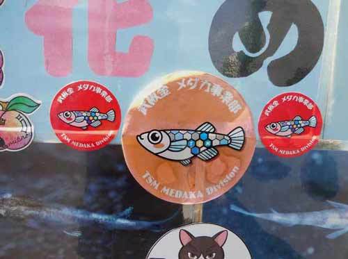お知らせ と 嬉しい頂き物_e0097534_17081996.jpg