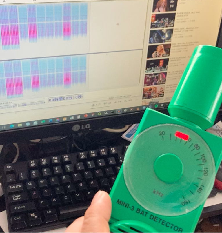チコと一緒にお昼寝できる曲シリーズ #3_b0060239_23241981.jpg