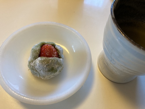芽が出た~!_c0331145_18434669.jpg