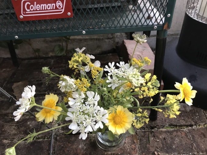 花アレンジ 野菜の花の場合など_d0101846_19002372.jpeg