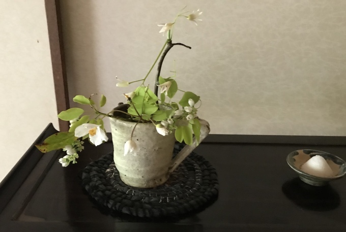 花アレンジ　野菜の花の場合など_d0101846_19200188.jpeg