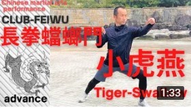 【長拳蟷螂門　小虎燕】Mantis Boxing Tiger-Swallow_a0039748_11505744.jpg