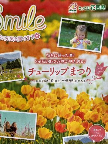 会えなくなったお客さん_f0009169_08500776.jpg