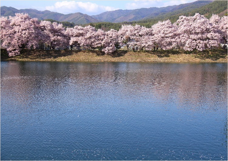 ☆ 1月~4月の思い出 ☆_f0181173_16215384.jpg